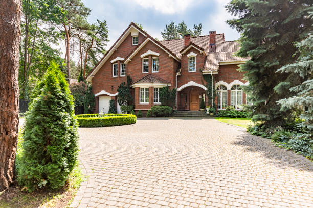 Best Driveway Paving Contractor  in Litchfield, MI
